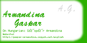 armandina gaspar business card